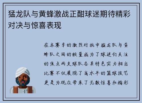 猛龙队与黄蜂激战正酣球迷期待精彩对决与惊喜表现