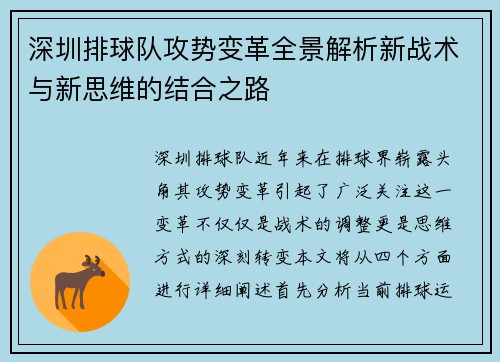 深圳排球队攻势变革全景解析新战术与新思维的结合之路